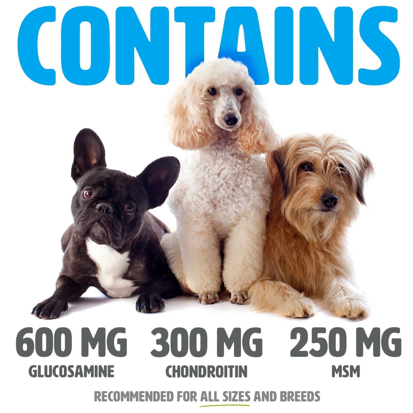Glucosamine Chondroitin MSM for Dogs, Hip and Joint Support,  PTC Profits To Charity all - фотография #5