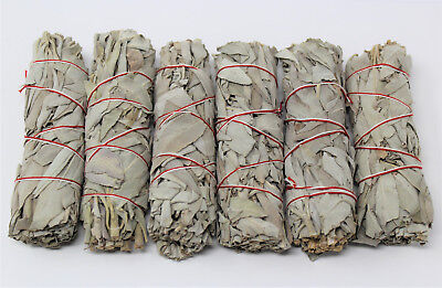 6 x White Sage Smudge Stick 4" : House Cleansing Energy Clearing Без бренда