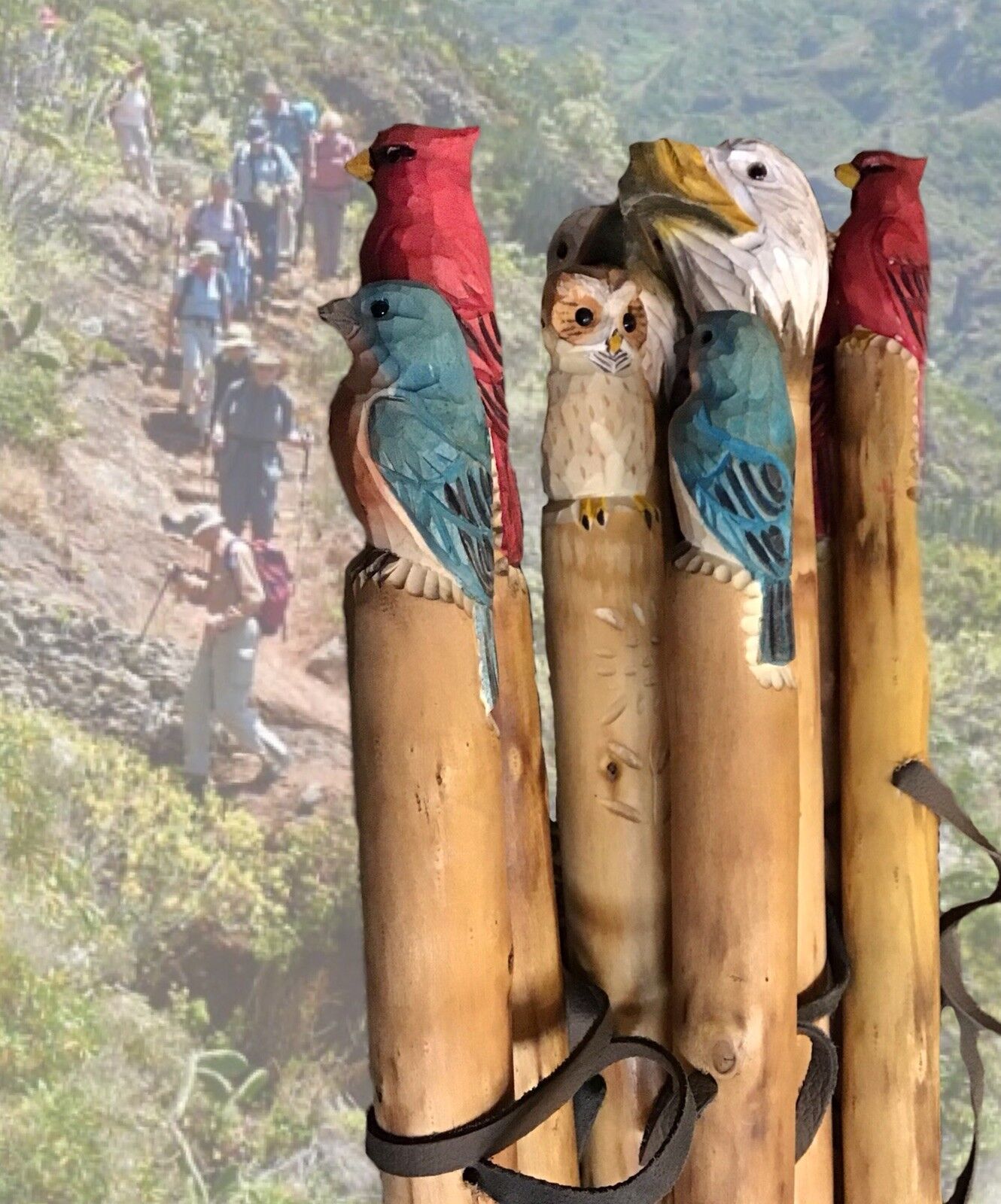 New Redbird Bluebird Owl Eagle Bear Walking Stick Cane Wood Hand Carved Handmade - фотография #4