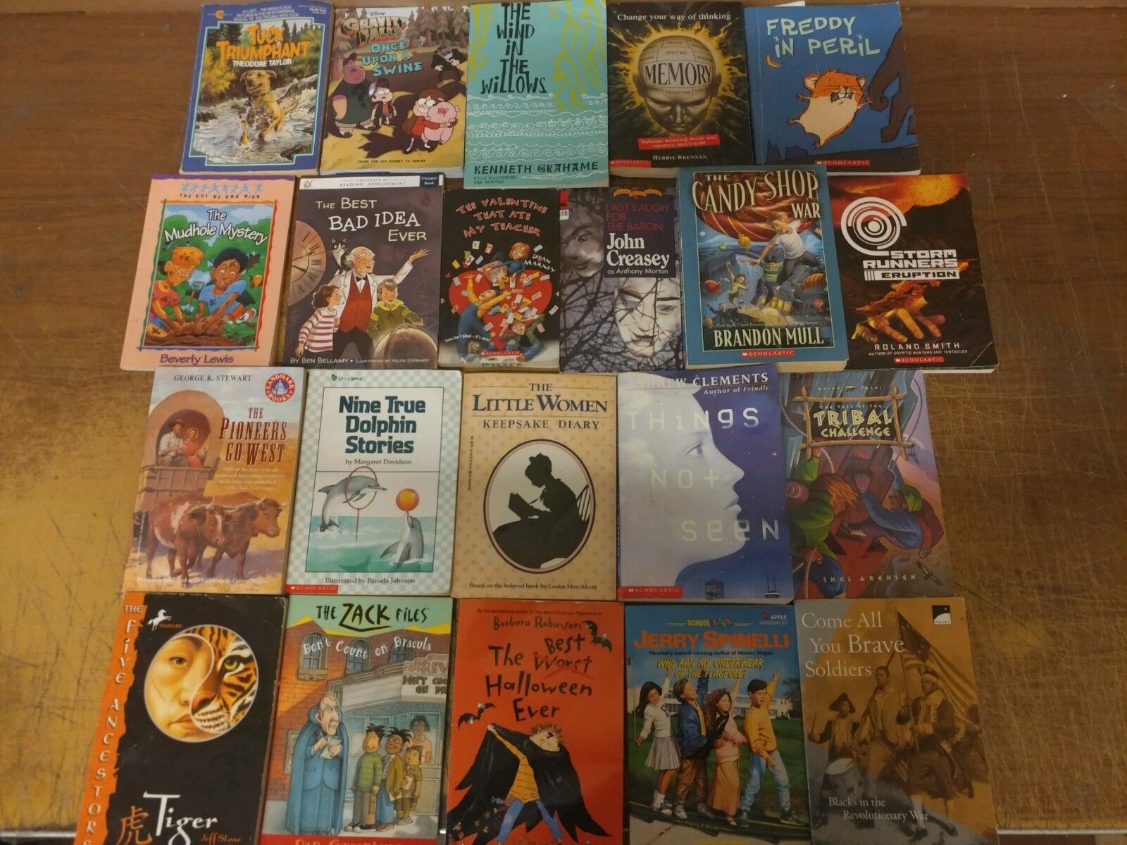 Lot of 20 Chapter Youth Early Readers Young Adults Children Book RL 3-4-5-6 MIX Без бренда - фотография #8