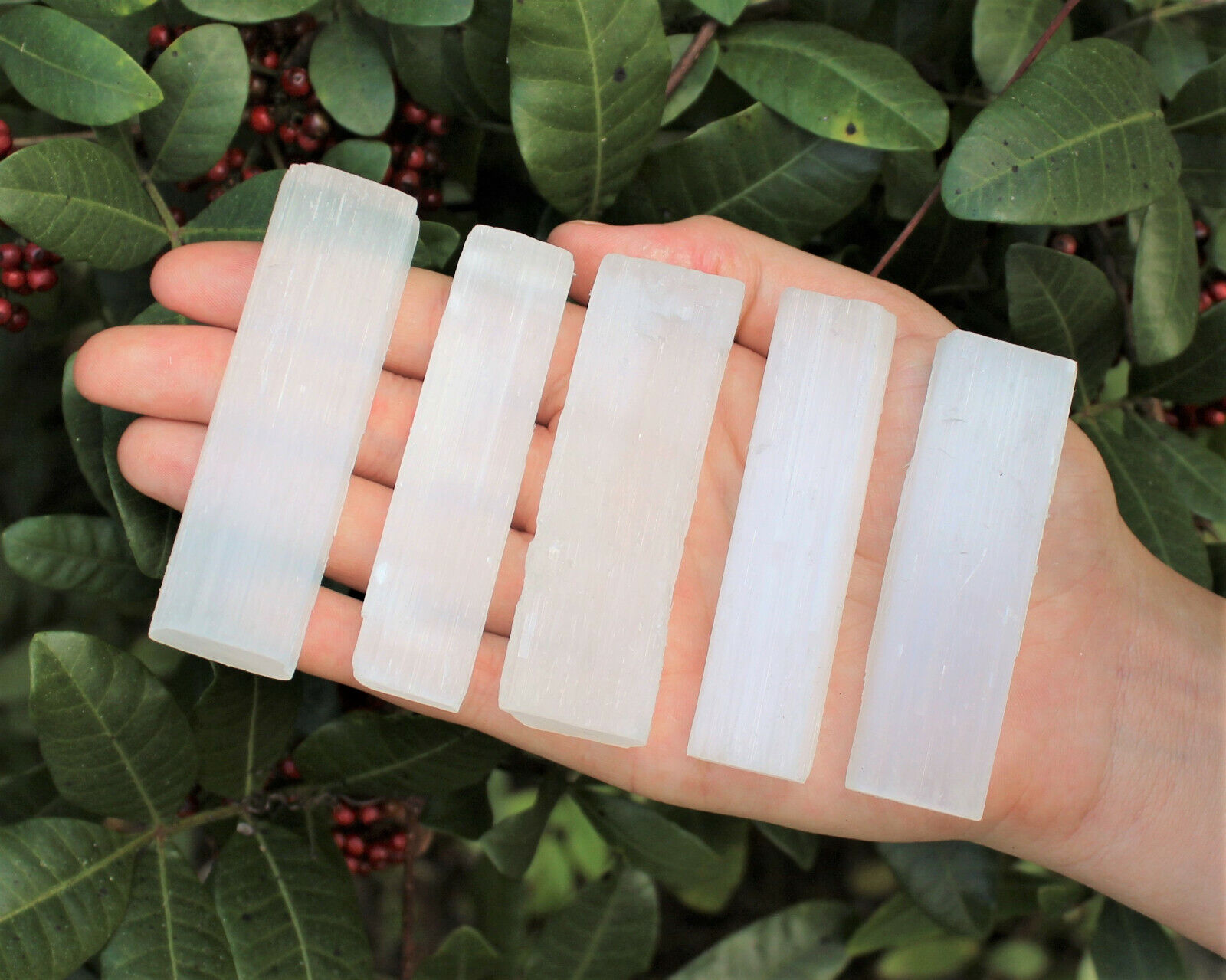 5 Selenite Sticks: 2.5" - 3" (Crystal Healing Grid Cleansing Wand Blade) Без бренда
