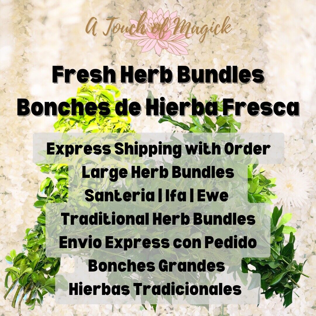 Fresh Herb Bundles | Santeria | Ifa | Ewe | Large Selection | Express Shipping Unbranded