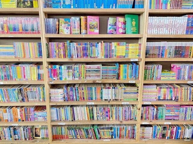 Lot of 30 kids chapter books instant library assorted bundle paperback - GOOD Без бренда