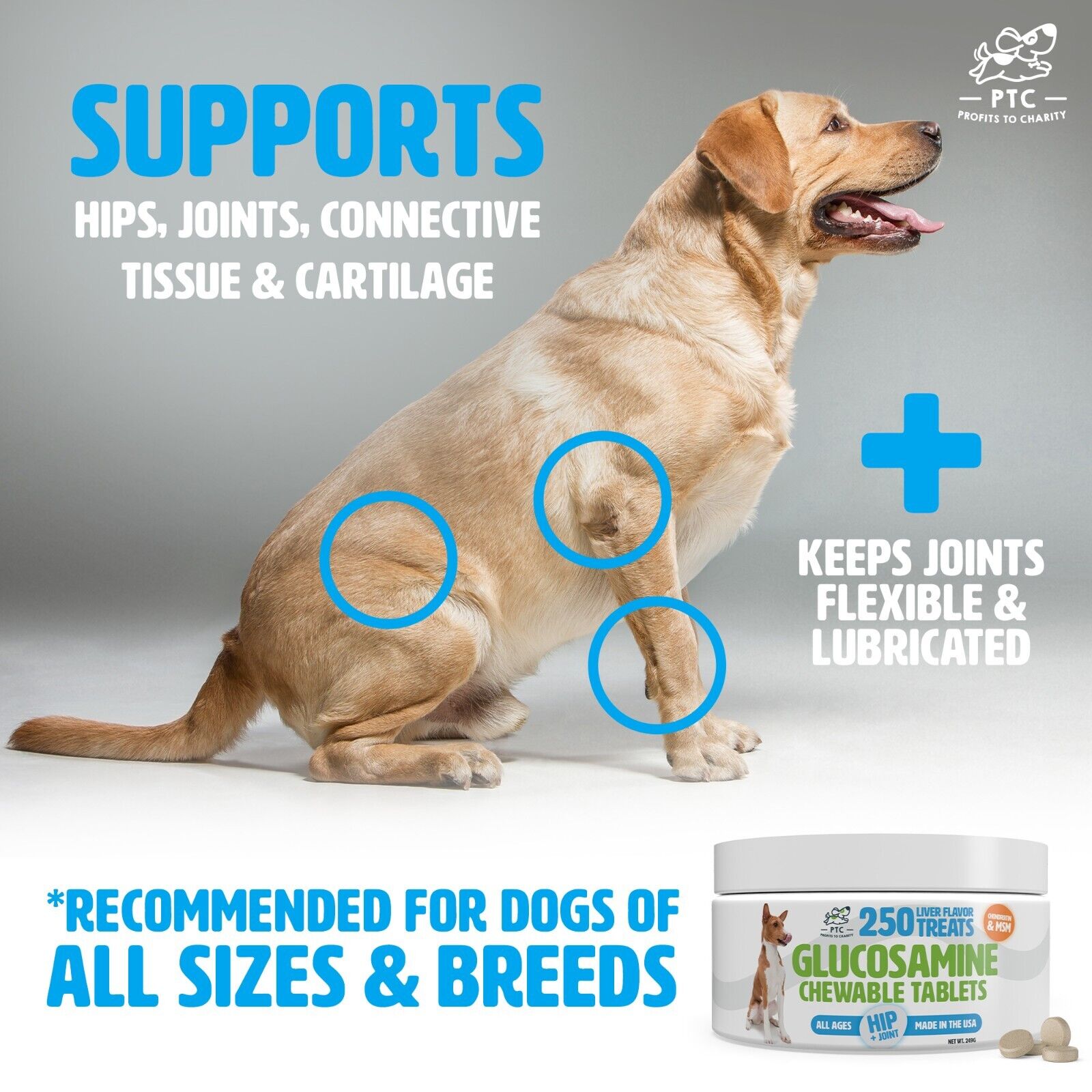 Glucosamine Chondroitin MSM for Dogs, Hip and Joint Support,  PTC Profits To Charity all - фотография #8