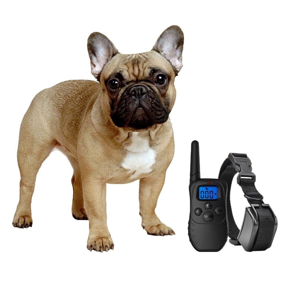 Shock Collar for Small Dogs w/Remote + FREE TrainingClicker- 3 Mode Dog Training eXuby EXB-DCH
