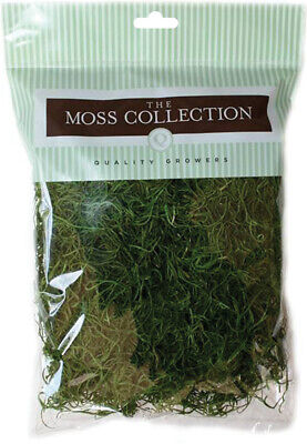 6 Pack Quality Growers Preserved Spanish Moss 108.5 Cubic Inches-Apple Green QG1 Quality Growers