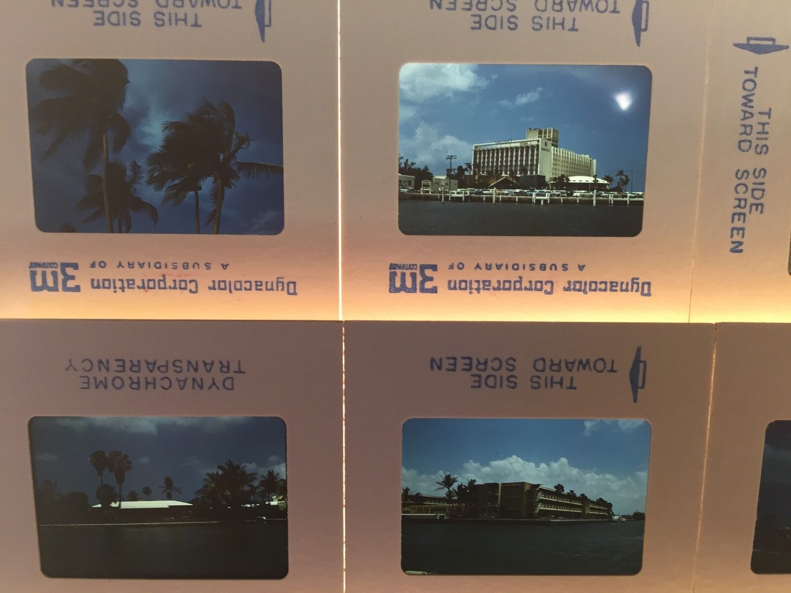 Vintage 1968 Miami Florida Honeymoon Souvenir Photo Slides Lot 12 PC Hotels Palm Без бренда - фотография #2