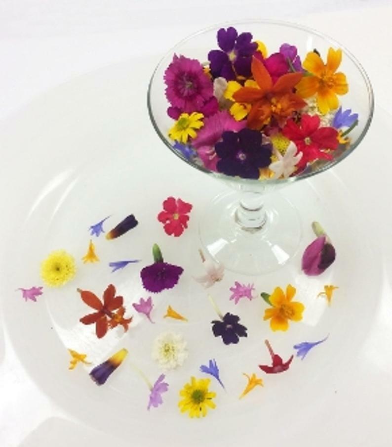 EDIBLE FRESH FLOWERS: Free Overnight, 200 Micro Blooms, Drink Garnish, Ice Cubes fresh origins SBMICROMIX1