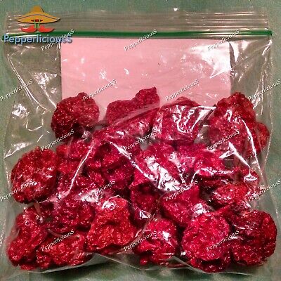 20 DRIED CAROLINA REAPER PEPPER PODS - WORLDS HOTTEST CHILI - with SEEDS PepperliciousS Pepper Company NA - фотография #2