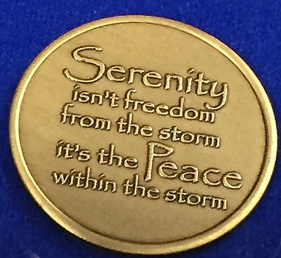 Serenity Lake Peace Within The Storm Bronze Medallion Chip Coin AA NA Sobriety Без бренда - фотография #5