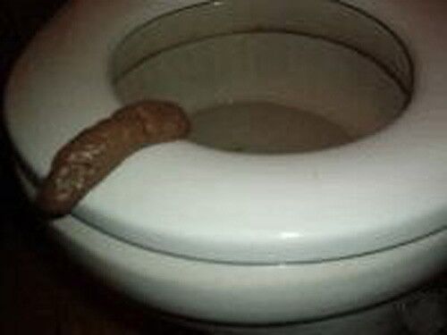 Bathroom Prank Fake Party Pooper Crap Turd - Human Poop Funny Joke Toilet Poo L International