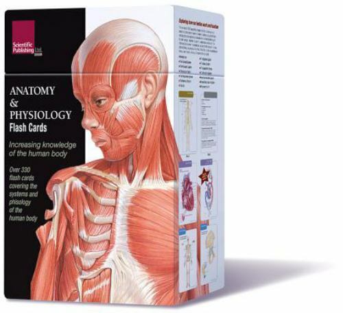 Anatomy and Physiology Flash Cards : Exploring How Our Bodies Work and Function  Без бренда