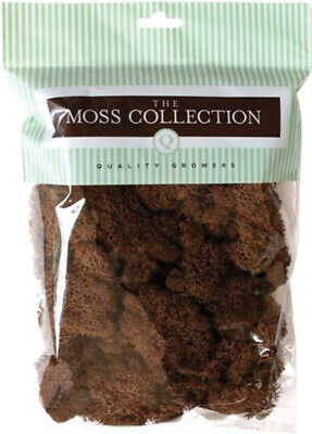 3 Pack Quality Growers Preserved Reindeer Moss 108.5 Cubic Inches-Walnut QG2053 Quality Growers