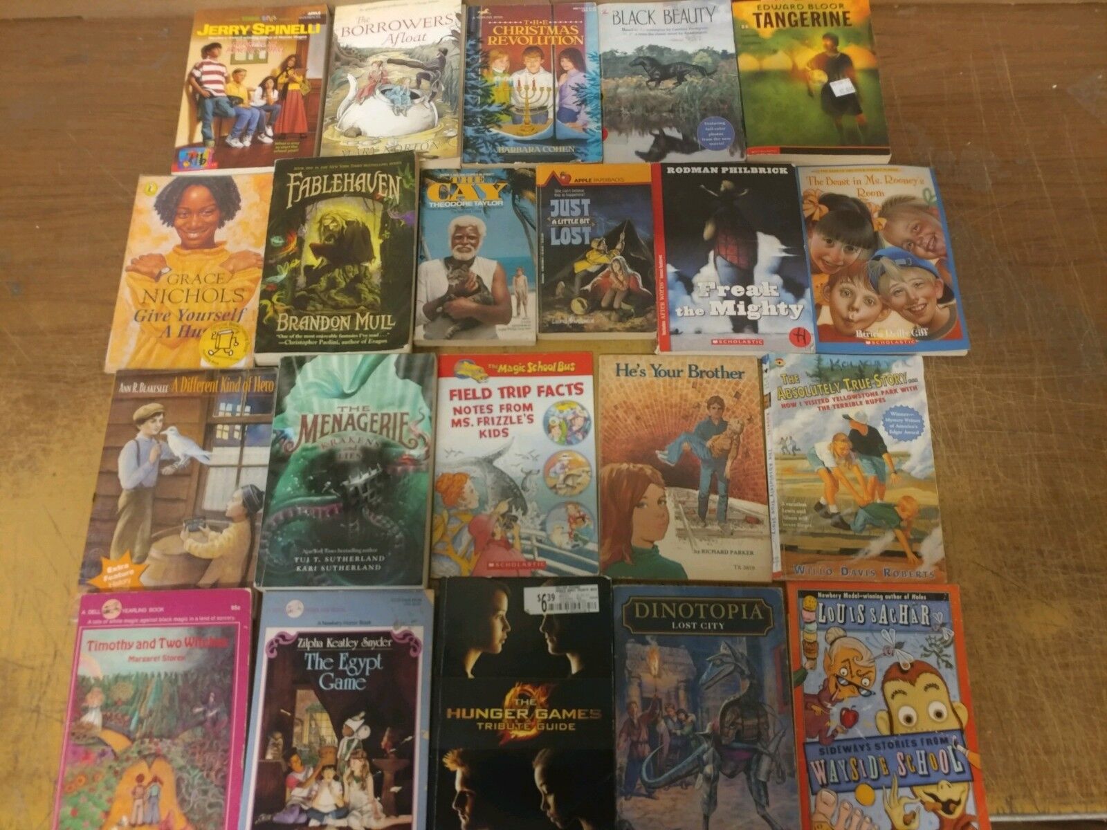 Lot of 20 Chapter Youth Early Readers Young Adults Children Book RL 3-4-5-6 MIX Без бренда - фотография #10
