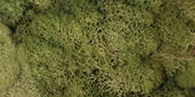 Quality Growers Preserved Reindeer Moss 108.5 Cubic Inches-Spring Green QG2060 Quality Growers - фотография #2