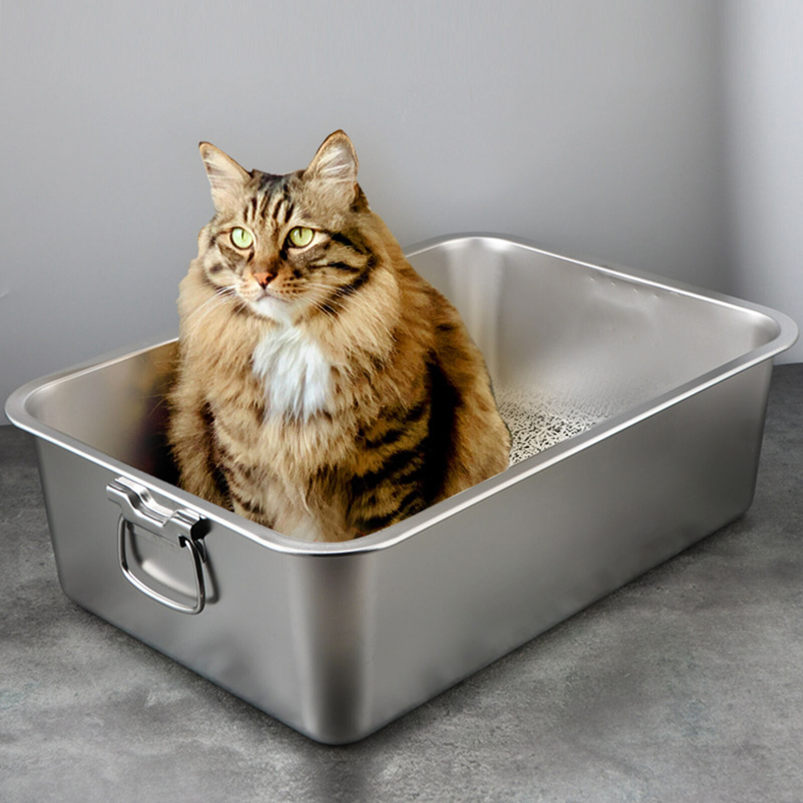 Low Entry Stainless Steel Litter Box Durable Cat with Design Spacious Unbranded