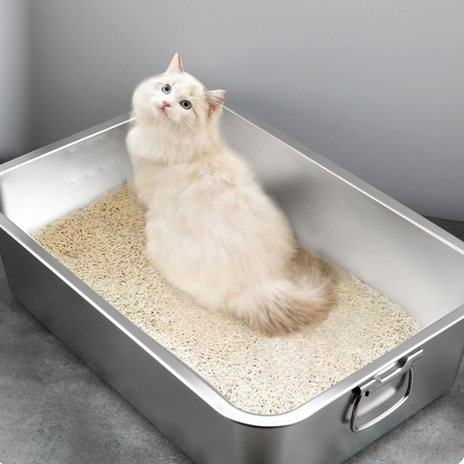 Low Entry Stainless Steel Litter Box Durable Cat with Design Spacious Unbranded - фотография #5