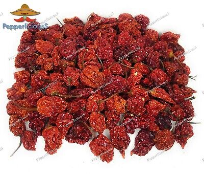 20 DRIED CAROLINA REAPER PEPPER PODS - WORLDS HOTTEST CHILI - with SEEDS PepperliciousS Pepper Company NA - фотография #5