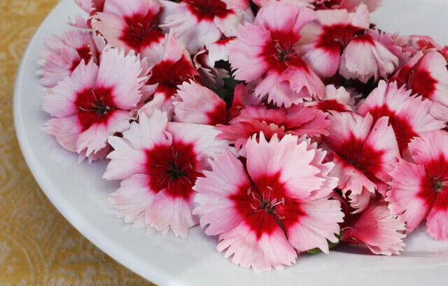 FRESH EDIBLE FLOWERS: Free Overnight, 150 Micro Blooms, Drink Garnish, Ice Cubes Sugar Bakers Bakery SNMULTIMICRO - фотография #3