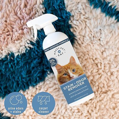 Messy Pet Cat Stain and Odor Remover Spray Bottle 27.05 fl oz Scott's Liquid Gold - фотография #5