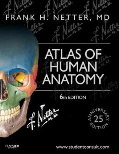 Netter Basic Science: Atlas of Human Anatomy by Frank H. Netter (Paperback, 6th  Без бренда