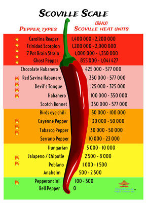 20 DRIED CAROLINA REAPER PEPPER PODS - WORLDS HOTTEST CHILI - with SEEDS PepperliciousS Pepper Company NA - фотография #7