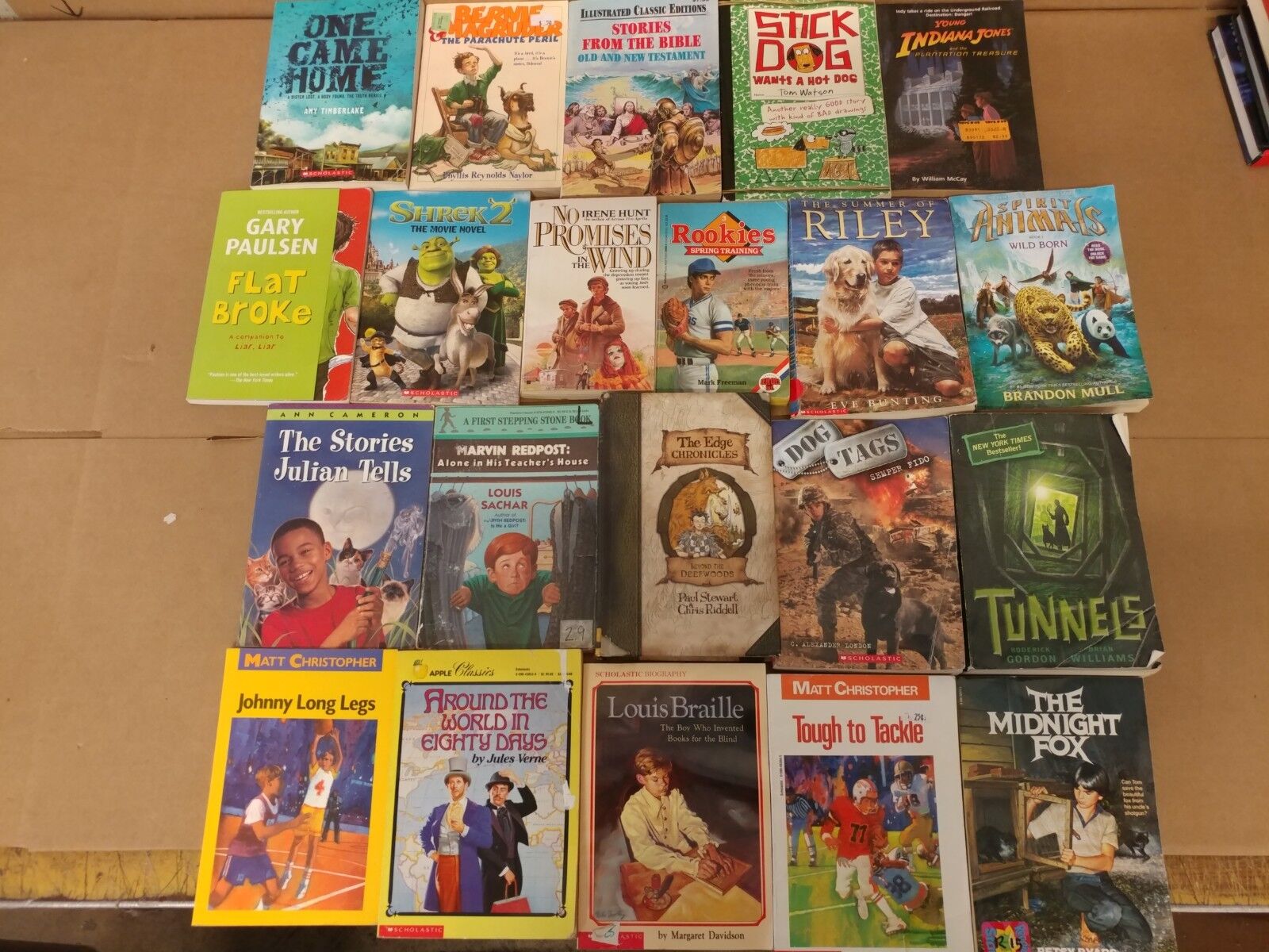 Lot of 20 Chapter Books for BOYS Youth Early Reader Young Adults Children RANDOM Без бренда - фотография #3