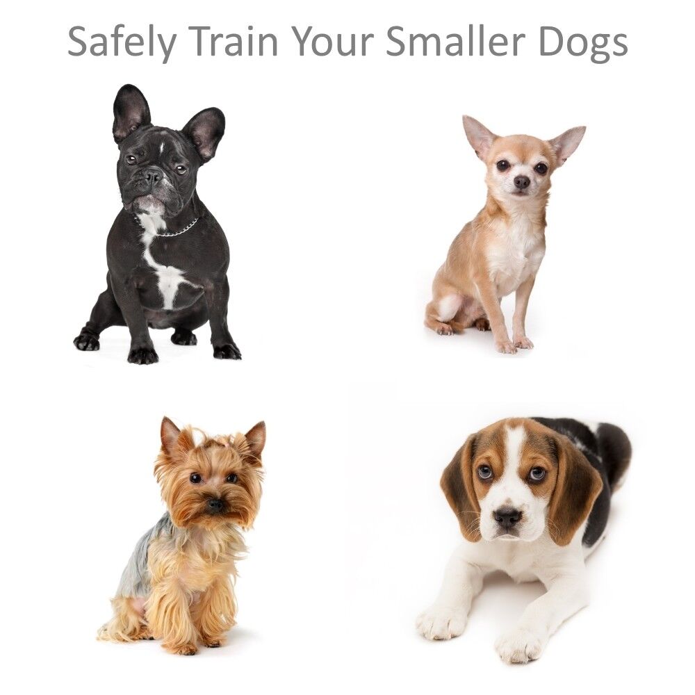 Shock Collar for Small Dogs w/Remote + FREE TrainingClicker- 3 Mode Dog Training eXuby EXB-DCH - фотография #2