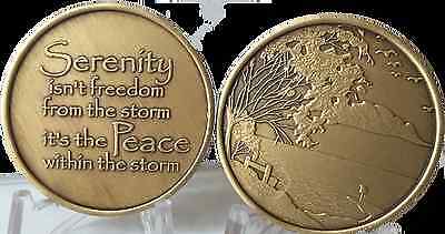 Serenity Lake Peace Within The Storm Bronze Medallion Chip Coin AA NA Sobriety Без бренда