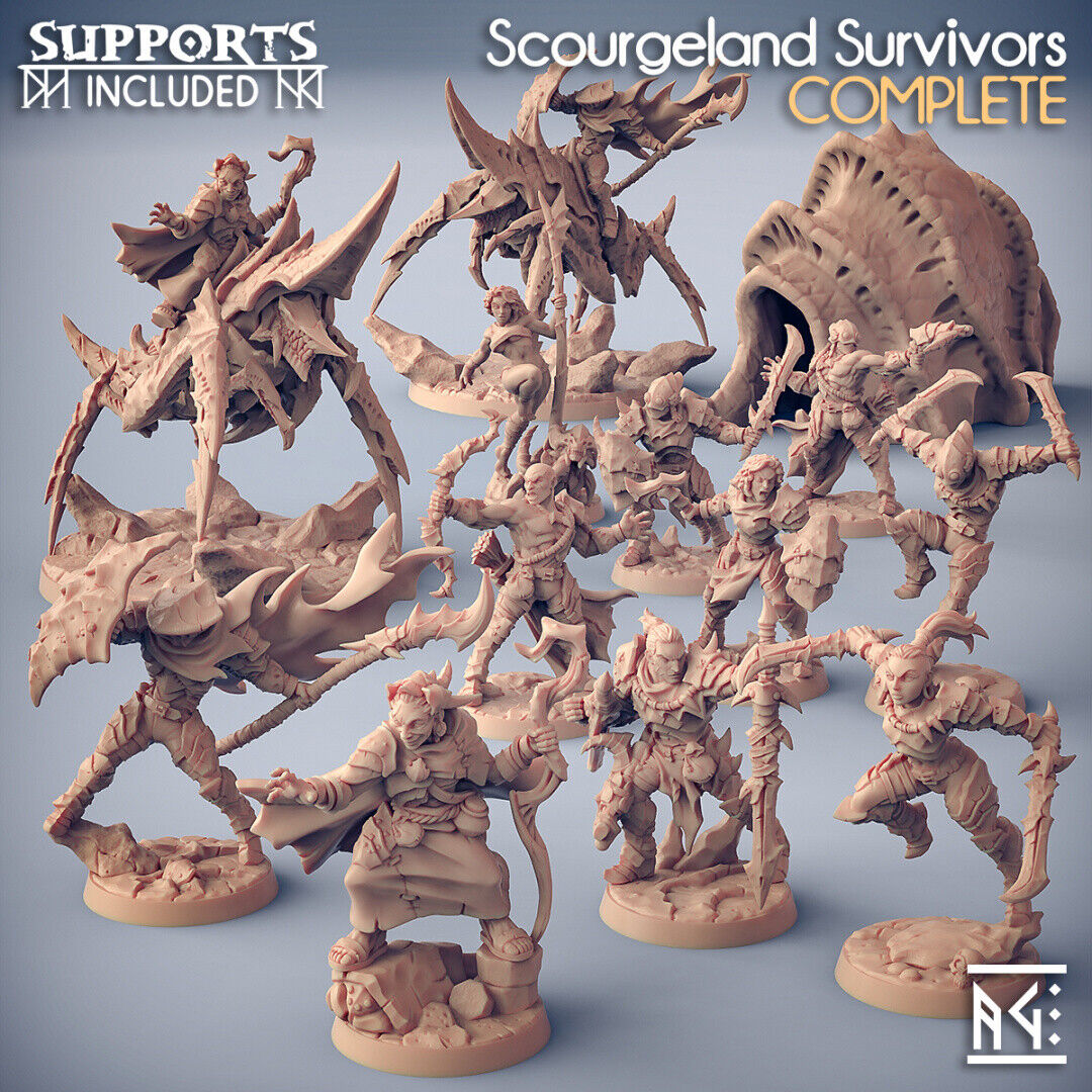 Scourgeland Survivor by Artisan Guild | D&D | DnD | Miniature Dungeons & Dragons