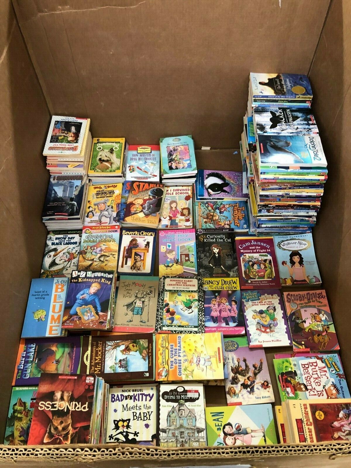 Lot of 30 kids chapter books instant library assorted bundle paperback - GOOD Без бренда - фотография #4