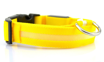 SAFETY LED Dog Pet Light Up Collar Night Glow Adjustable Bright 6 Color XS S L 4PawsPets - фотография #10