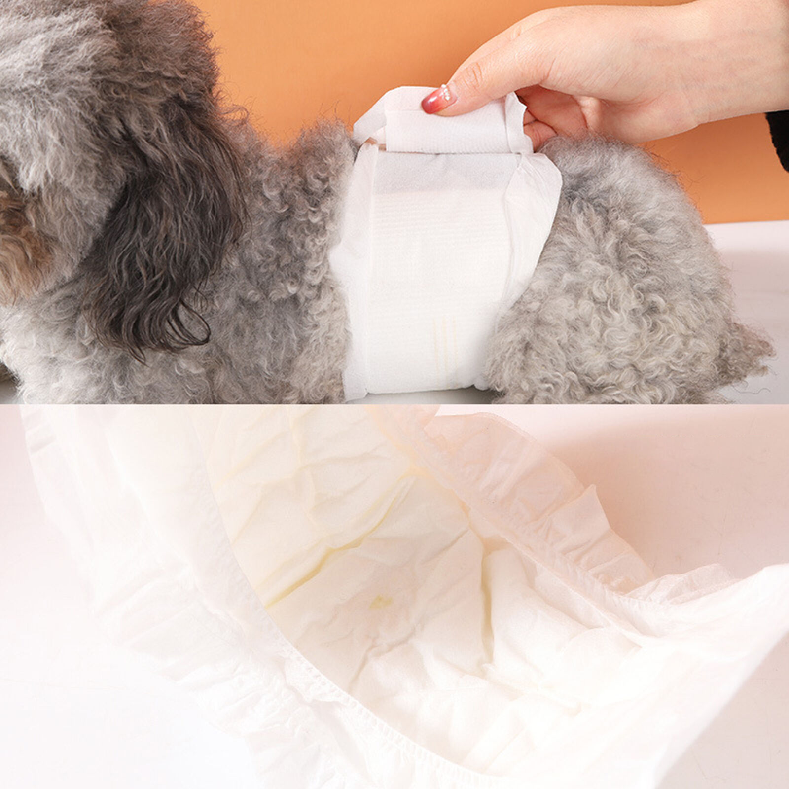 12pcs Pet Sanitary Pants Soft Touch Tear-resistant Disposable Dog Sanitary Pants Unbranded - фотография #5