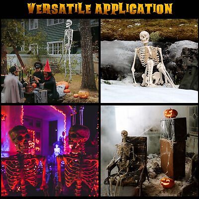 5.4' Full Body Skeleton Prop Poseable Joints Halloween Decor Human Anatomy Model Apluschoice 60HAL001-70IN-07 - фотография #12
