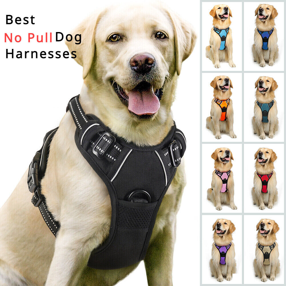 rabbitgoo Dog Harness No-Pull with 2 Leash Clips Adjustable Pet Vest Reflective Rabbitgoo B07D4G31SC