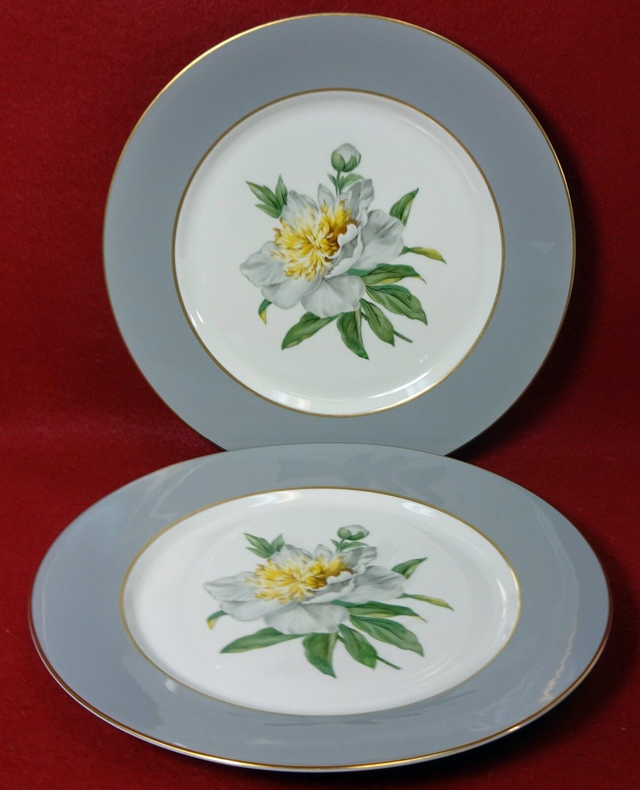 PRINCESS china GOLDEN PEONY pattern Set of 2 Dinner Plates - 10-1/4" Princess Golden Peony