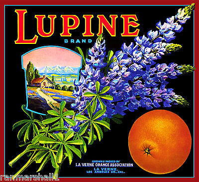 La Verne Lordsburg Lupine Flowers Orange Citrus Fruit Crate Label Art Print Lupine