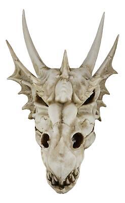 Large Elder Dragon Skull Statue Legendary Erathia Fossil Skeleton 18"L Figurine Без бренда - фотография #7