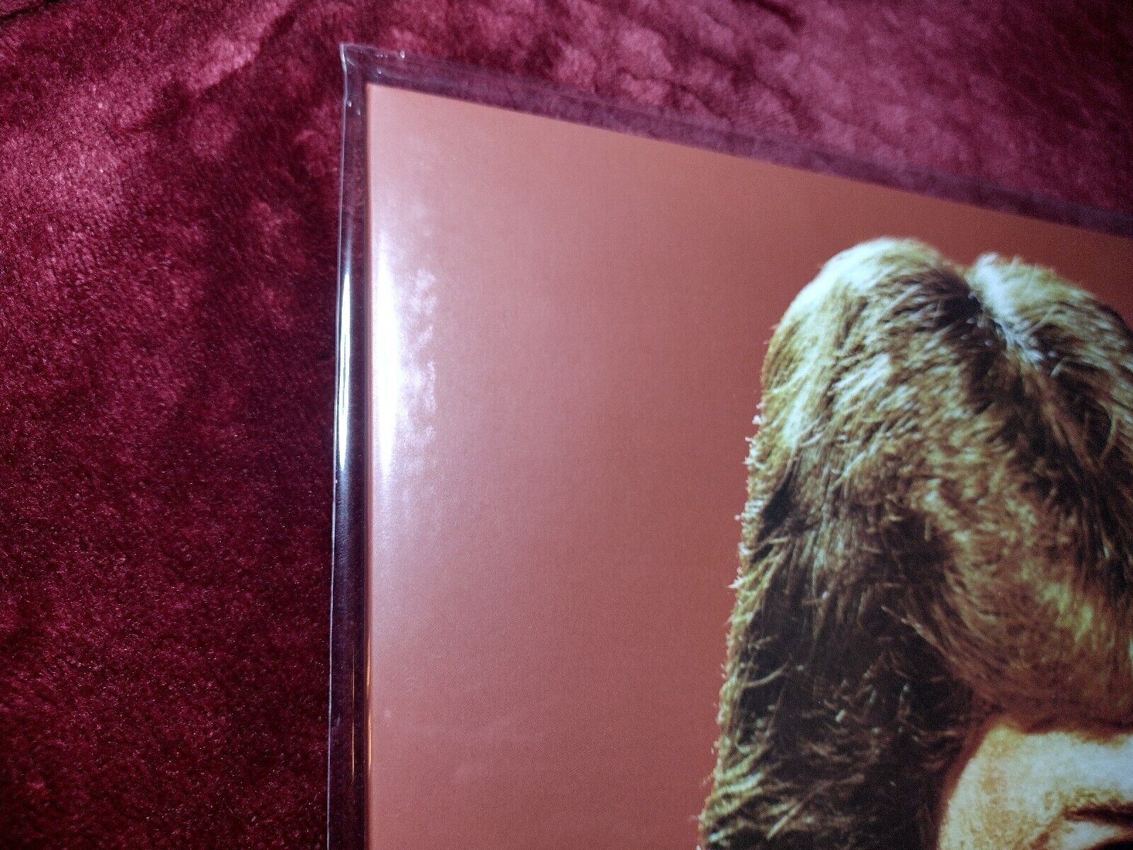 Jerry The King Lawler Sings  Starburst Vinyl Record Autographed 🔥 Без бренда - фотография #10
