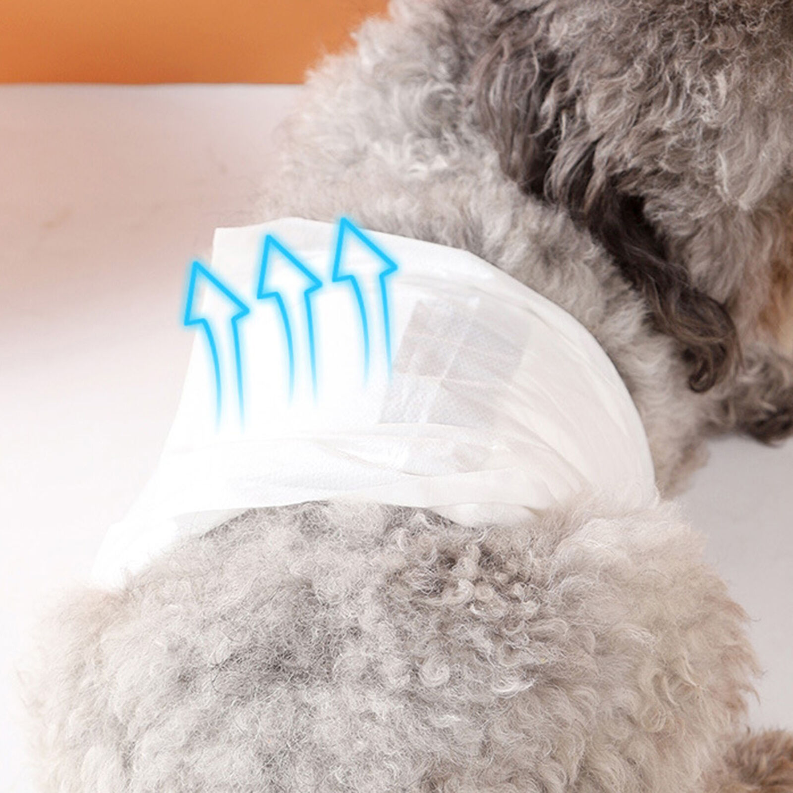 12pcs Pet Sanitary Pants Soft Touch Tear-resistant Disposable Dog Sanitary Pants Unbranded - фотография #3