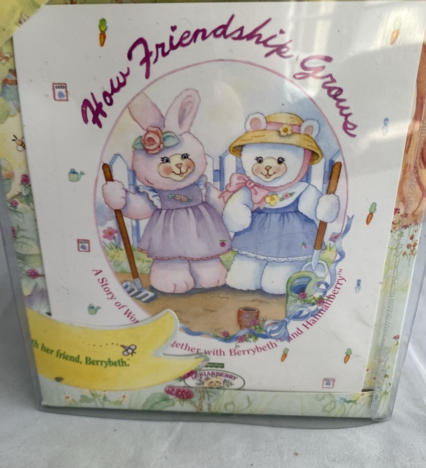 Hannahberry Fisher Price Briarberry Bear Bunny  Missing book @70 Fisher-Price - фотография #9