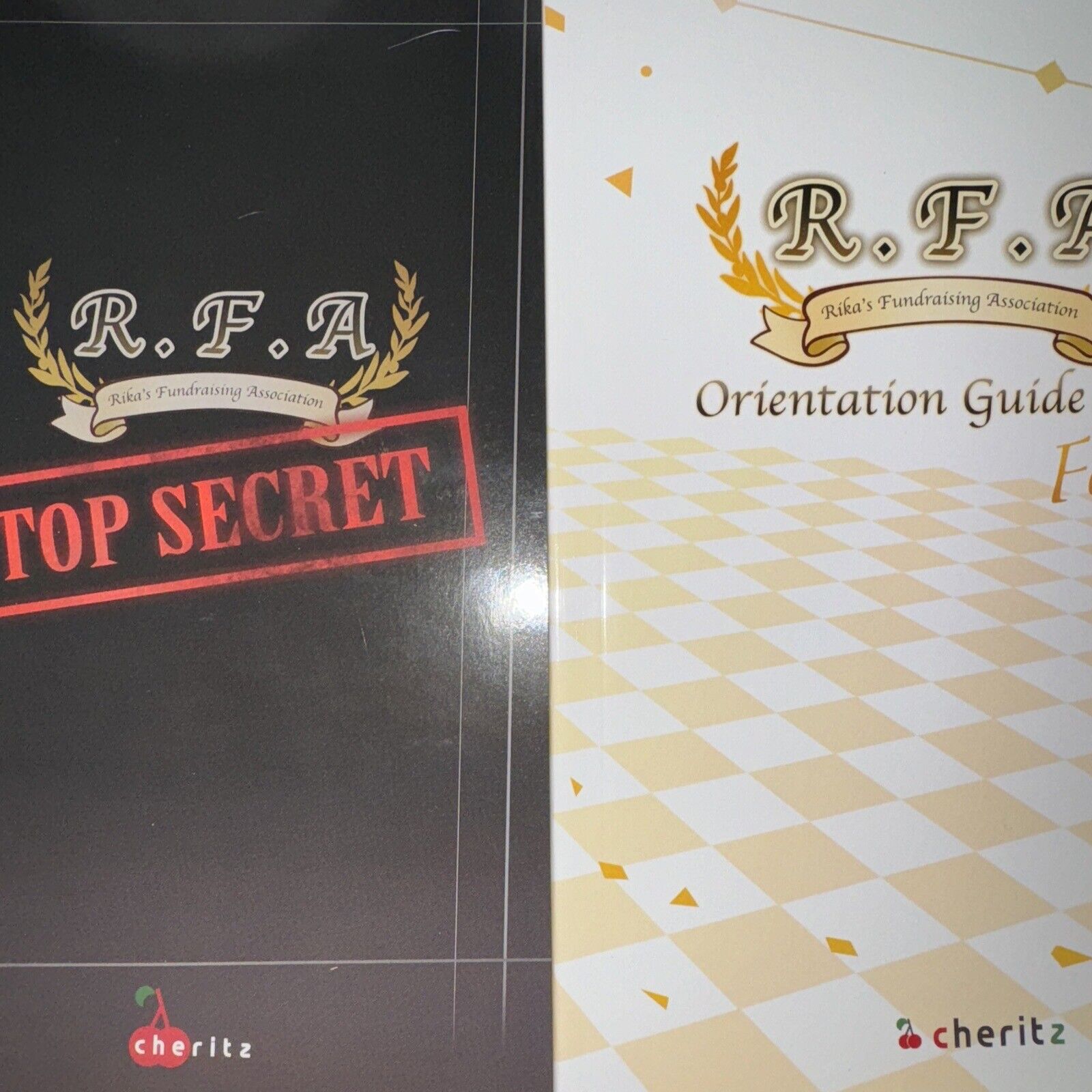 Mystic Messenger Cheritz RFA Books Top secret And RFA Guide Cheritz