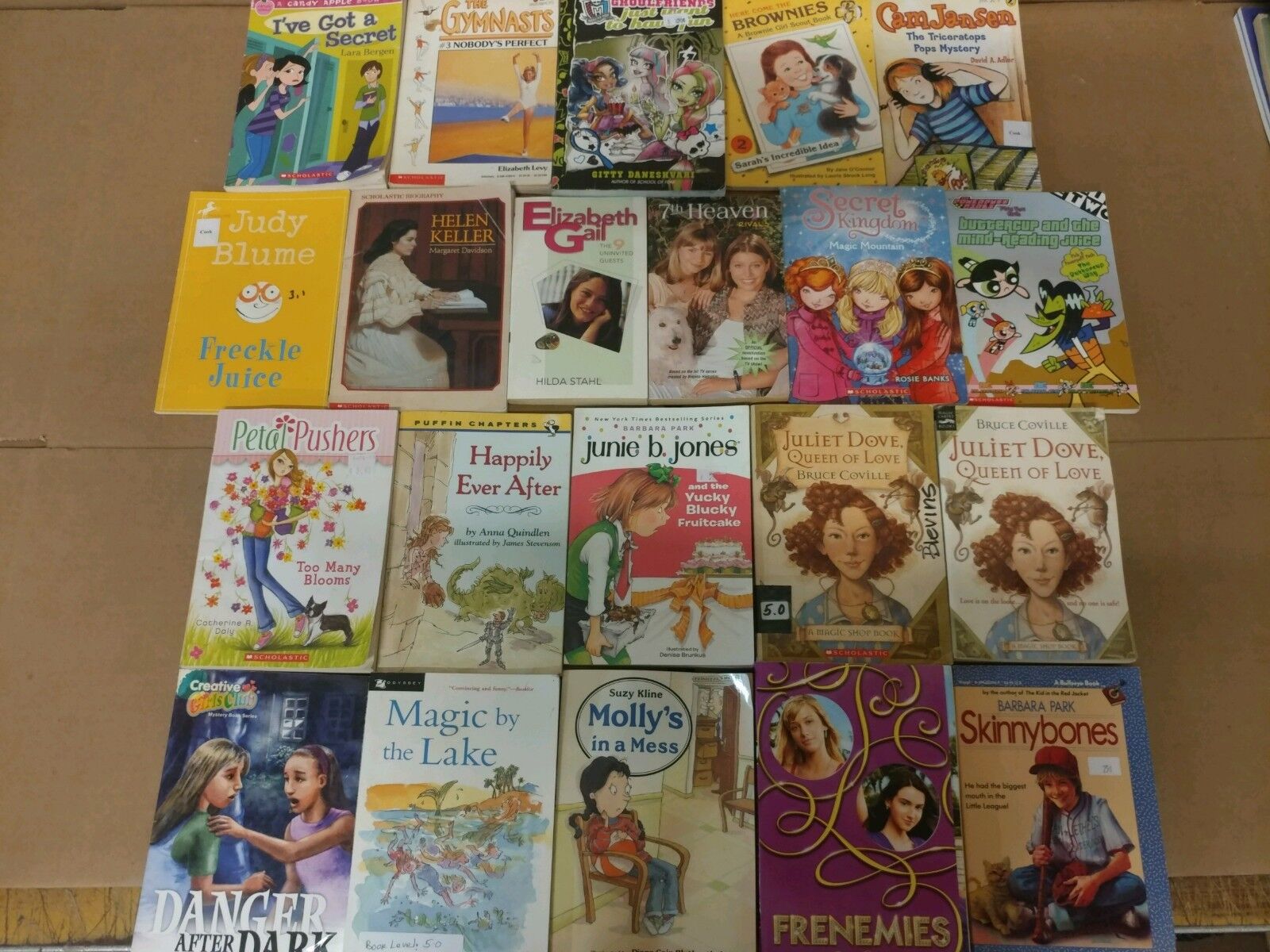Lot of 20 Chapter Books for GIRLS Youth Early Reader Young Adult Children RANDOM Без бренда - фотография #2
