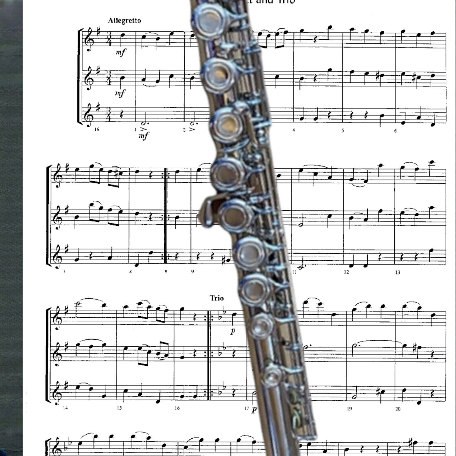 FLUTE-NEW STUDENT/ INTERMEDIATE/PRO CONCERT SILVER BAND FLUTES-WITH YAMAHA PADS MILLBROOK-with yamaha pads Does Not Apply - фотография #4