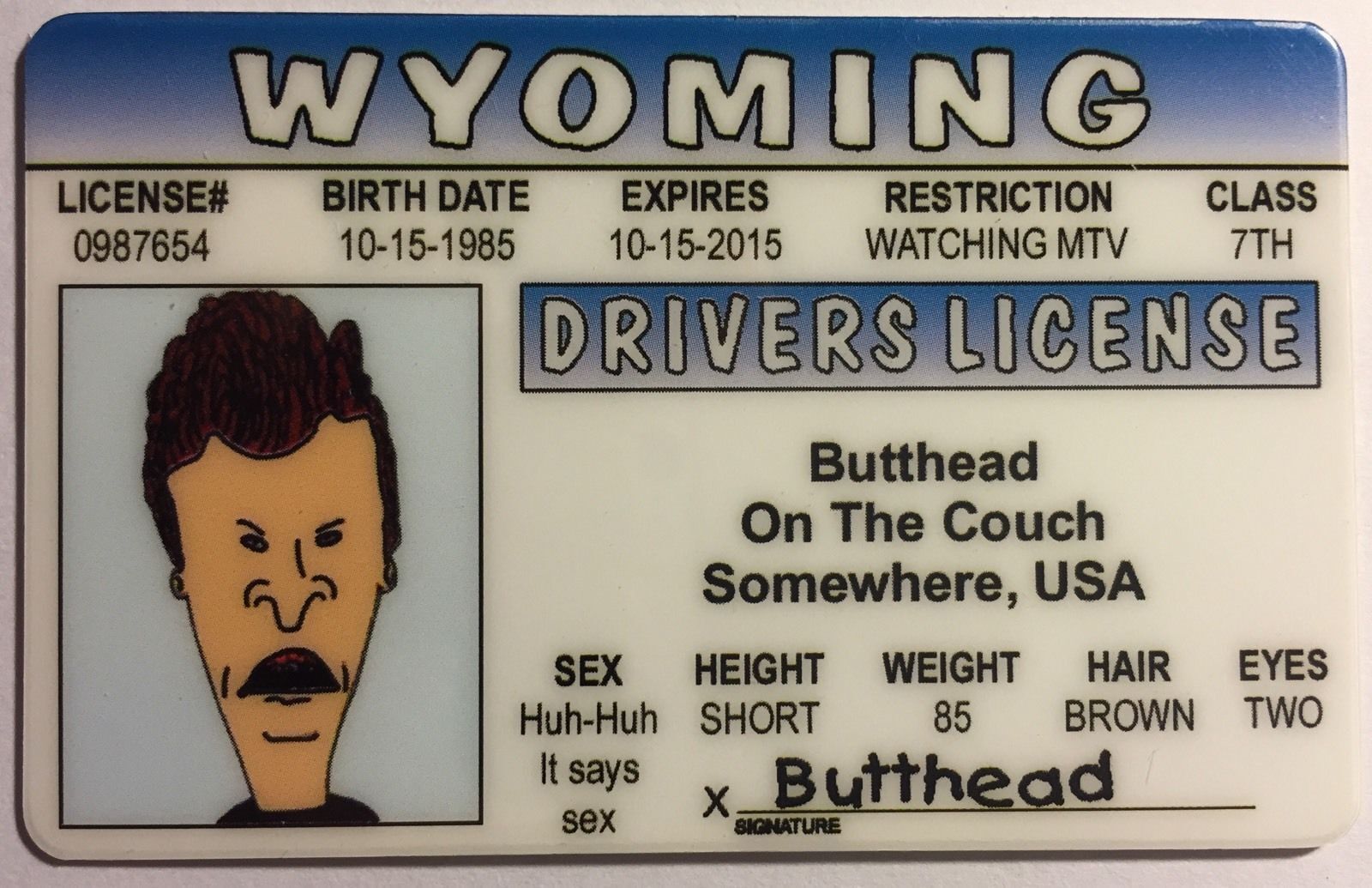 Butt-Head - Beavis and Butt-Head - Drivers License - Novelty Без бренда
