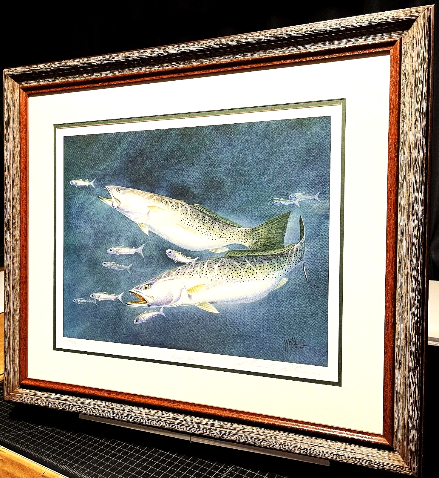 Ronnie Wells Trout Run Lithograph Speckled Trout Mint - Brand New Sporting Frame Без бренда