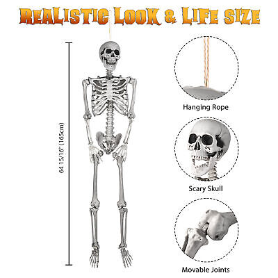 5.4' Full Body Skeleton Prop Poseable Joints Halloween Decor Human Anatomy Model Apluschoice 60HAL001-70IN-07 - фотография #10