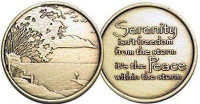 Serenity Lake Peace Within The Storm Bronze Medallion Chip Coin AA NA Sobriety Без бренда - фотография #6
