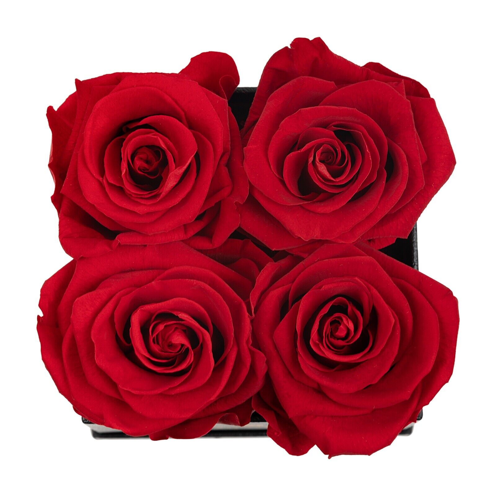 Preserved  Real Roses| Roses that last 1 year o more| Roses in a Box. O'Hara des Fleur - фотография #2
