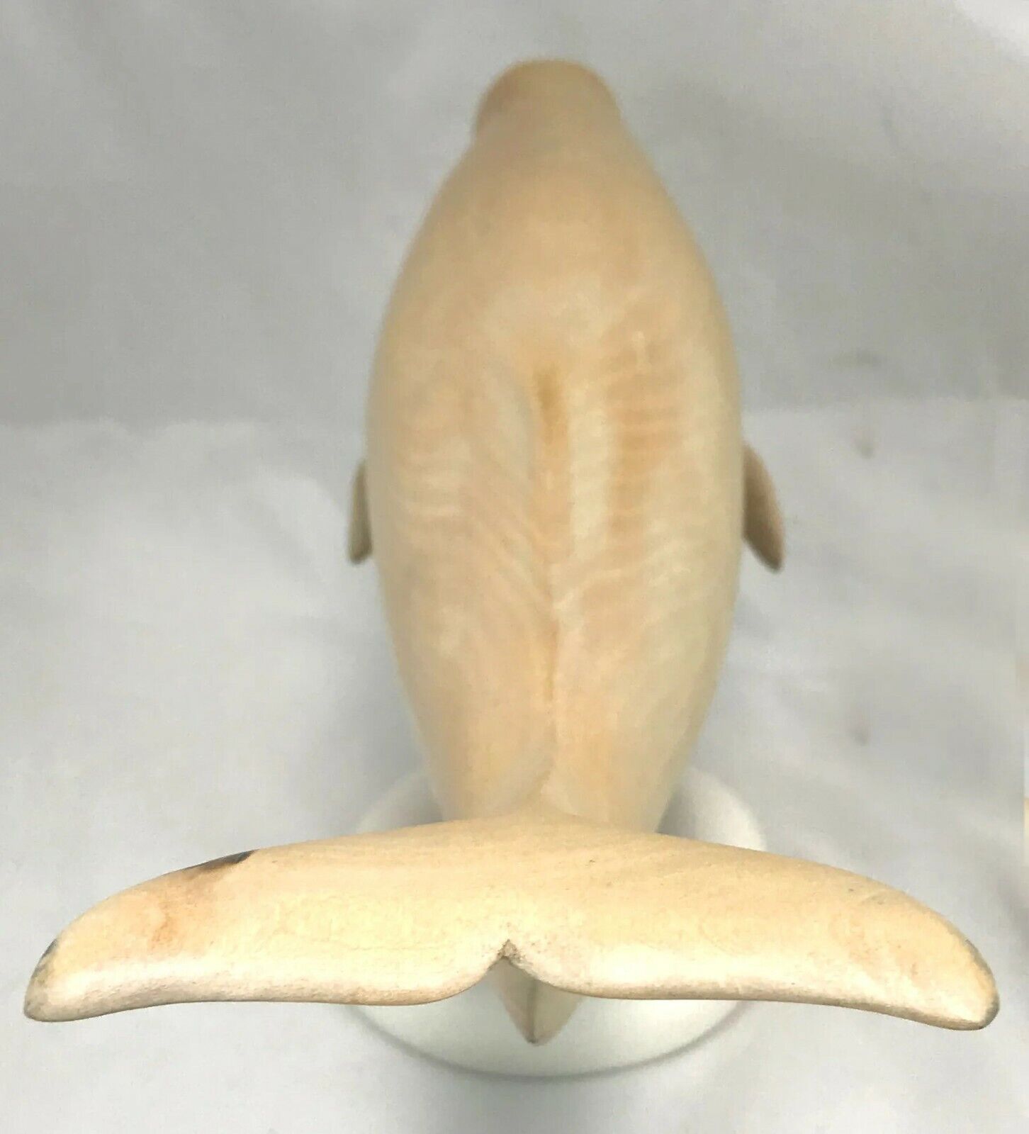 Wayne Robbins Carved Wooden Beluga Whale Sculpture, Beluga in Linden #3318 Без бренда - фотография #5